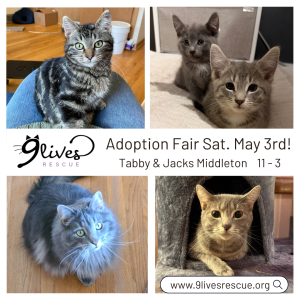 9 Lives Rescue Adoption Fair May 3rd with four photos of cats
